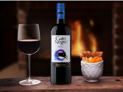 vinho tinto san pedro gato negro merlot 750ml vinho tinto san pedro gato negro merlot 750ml